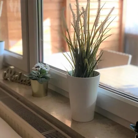 Familienfreundliches Amara Mit Garten Und Terrasse - Am Bodensee Vakantiehuis Friedrichshafen