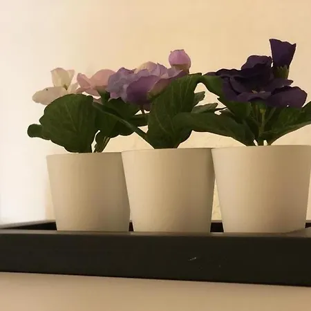 Familienfreundliches Amara Mit Garten Und Terrasse - Am Bodensee 腓特烈港