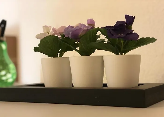 Familienfreundliches Amara Mit Garten Und Terrasse - Am Bodensee Friedrichshafen